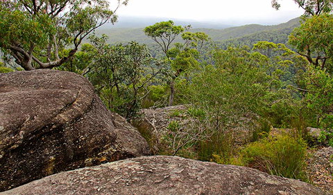Pigeon House Mountain Didthul Walking Track - Gold Coast Attractions 1