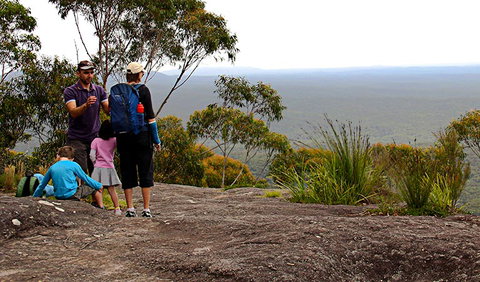 Pigeon House Mountain Didthul Walking Track - Gold Coast Attractions 2