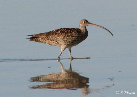 Cooloola Nature - Gold Coast Attractions 3