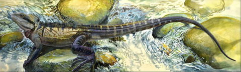 Manning Regional Art Gallery - Gold Coast Attractions 4