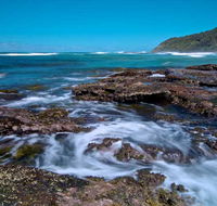 Wyrrabalong National Park - Gold Coast Attractions