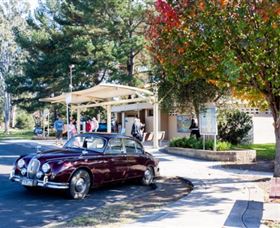 Tourist Drive 2 - Bucketts Way - Gold Coast Attractions 0