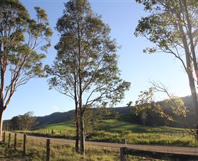 Tourist Drive 2 - Bucketts Way - Gold Coast Attractions 1