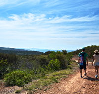 Moonee Beach trail - Gold Coast Attractions