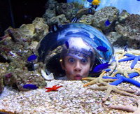 Sea Life Sunshine Coast