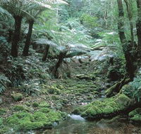 The Corn Trail Walk - Gold Coast Attractions