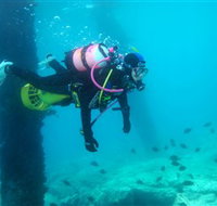 Shellharbour Scuba  Photography Centre - Gold Coast Attractions