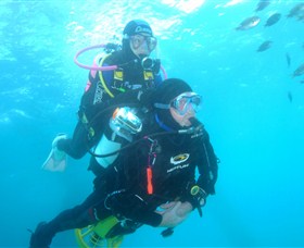 Shellharbour Scuba & Photography Centre - Gold Coast Attractions 1
