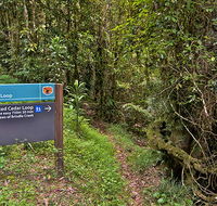 Red Cedar loop - Gold Coast Attractions