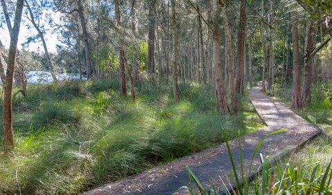 Anabranch Loop Track - Gold Coast Attractions 3