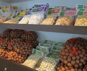 Medowie Macadamias - Gold Coast Attractions 2