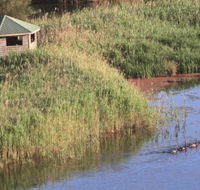 Spring Creek Bird Hide - Gold Coast Attractions