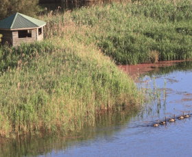 Spring Creek Bird Hide - Gold Coast Attractions 0