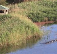 Spring Creek Wetlands Walk - Gold Coast Attractions