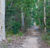Delta track - Gold Coast Attractions