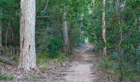 Delta Track - Gold Coast Attractions 0