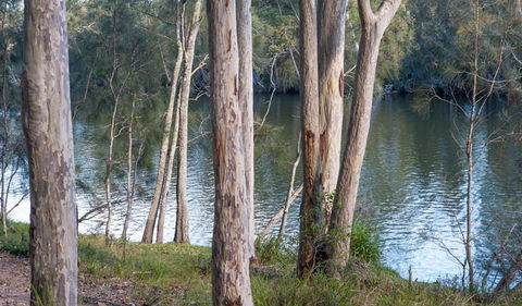 Delta Track - Gold Coast Attractions 2