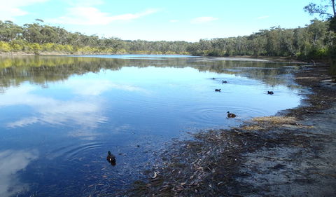 Conjola National Park - Gold Coast Attractions 1