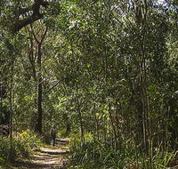 Sand track walk south - Gold Coast Attractions