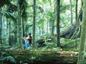 Illinbah Circuit - Gold Coast Attractions 0