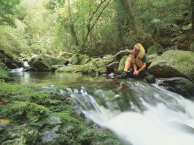 Dave's Creek circuit Binna Burra