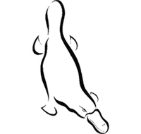 Platypus Gallery - Gold Coast Attractions