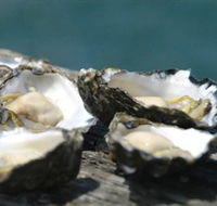 Jim Wilds Oyster Service - Gold Coast Attractions