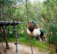 TreeTop Challenge - Gold Coast Attractions