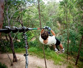 TreeTop Challenge - Gold Coast Attractions 0