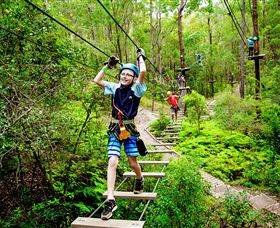 TreeTop Challenge - Gold Coast Attractions 1