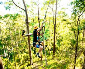 TreeTop Challenge - Gold Coast Attractions 3