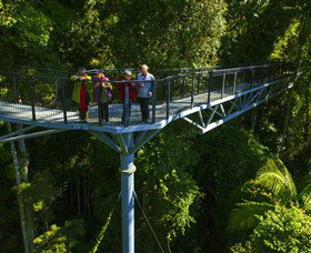 Tamborine Rainforest Skywalk - Gold Coast Attractions 1