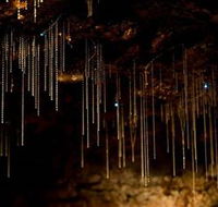 Tamborine Mountain Glow Worm Caves - Gold Coast Attractions