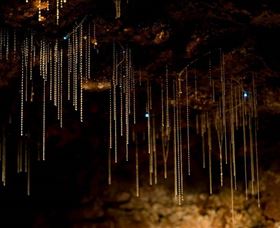 Tamborine Mountain Glow Worm Caves - Gold Coast Attractions 0