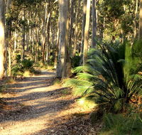 Square Head track 2 - Gold Coast Attractions