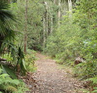 Lake walking track - Gold Coast Attractions