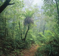 Wagawn - Gold Coast Attractions