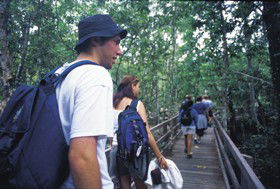 Wagawn - Gold Coast Attractions 1