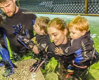 Book Boat Harbour Accommodation Vacations Gold Coast Attractions Gold Coast Attractions