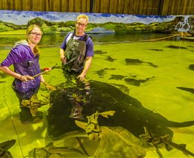 Irukandji Shark And Ray Encounters - Gold Coast Attractions 3