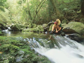 Lower Ballanjui Falls - Gold Coast Attractions 0