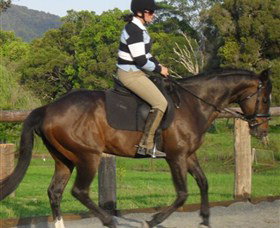 Kings Creek Saddle Club - Gold Coast Attractions 6