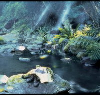 Coomera circuit - Gold Coast Attractions