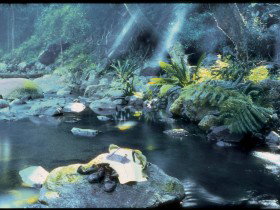 Coomera Circuit - Gold Coast Attractions 0