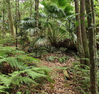 Durras Lake Discovery trail - Gold Coast Attractions