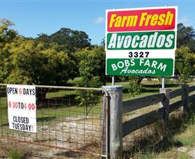 The Avocado Farm - Gold Coast Attractions 3