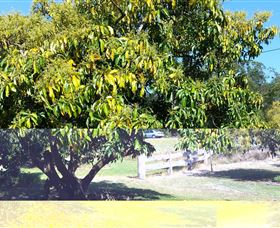 The Avocado Farm - Gold Coast Attractions 2