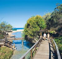 Eli Creek - Gold Coast Attractions