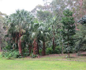 Booderee National Park Botanic Gardens - Gold Coast Attractions 4