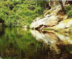 Numinbah Valley Adventure Trails - Gold Coast Attractions 1